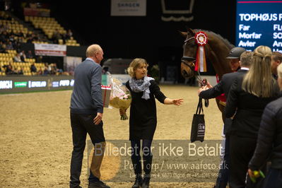 Dansk varmblod hingstekåring.
Nøgleord: anette nilausen