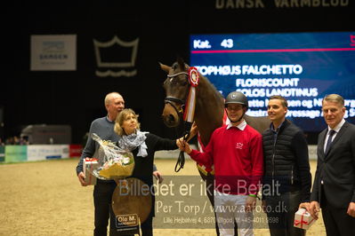 Dansk varmblod hingstekåring.
Nøgleord: anette nilausen