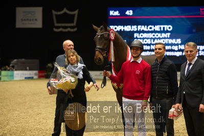 Dansk varmblod hingstekåring.
Nøgleord: anette nilausen