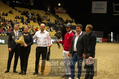 Dansk varmblod hingstekåring.
