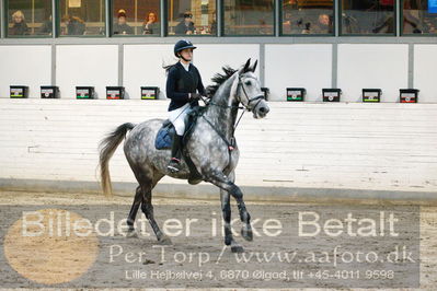 Fredericia Rideklub
Sprngstævne for hest
Nøgleord: cecilie aarslev paps;erica