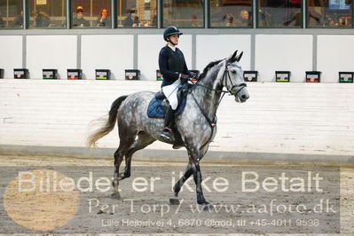 Fredericia Rideklub
Sprngstævne for hest
Nøgleord: cecilie aarslev paps;erica