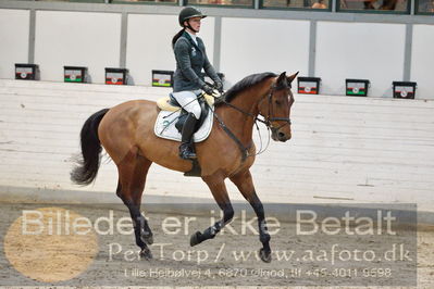 Fredericia Rideklub
Sprngstævne for hest
Nøgleord: maria bjørnkjær bennedsgaard;finette ask