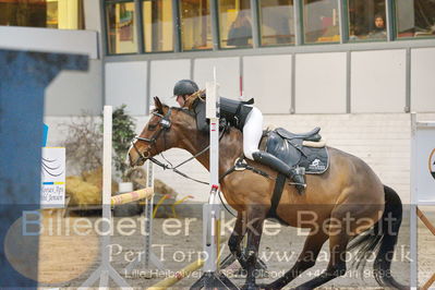 Fredericia Rideklub
Sprngstævne for hest
Nøgleord: dicte dorothea svhnedler sundahl;carmen