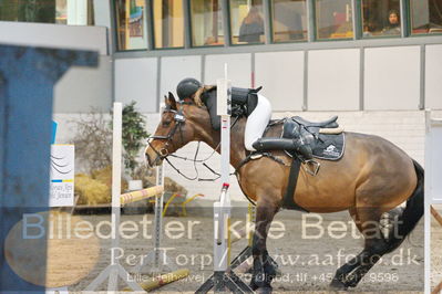 Fredericia Rideklub
Sprngstævne for hest
Nøgleord: dicte dorothea svhnedler sundahl;carmen