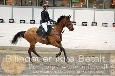 Fredericia Rideklub
Sprngstævne for hest
Nøgleord: sandra bjørnfeldt andersen;gård's calista