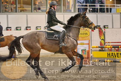 Fredericia Rideklub
Sprngstævne for hest
Nøgleord: rikke bennedsgård warnecke;florina