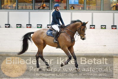 Fredericia Rideklub
Sprngstævne for hest
Nøgleord: anni pape;lykkegaards count on me