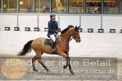 Fredericia Rideklub
Sprngstævne for hest
Nøgleord: alexander lundggard kjeldsen;teglvangs athene jong