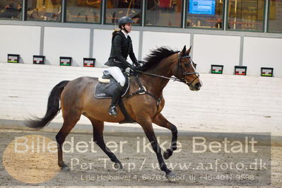 Fredericia Rideklub
Sprngstævne for hest
Nøgleord: dicte dorothea svhnedler sundahl;carmen