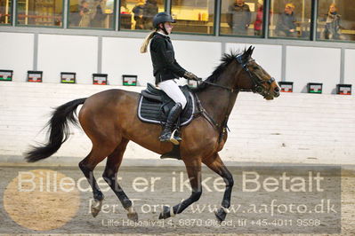 Fredericia Rideklub
Sprngstævne for hest
Nøgleord: nicoline andersen lau;en's april