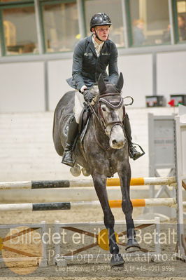 Fredericia Rideklub
Sprngstævne for hest
Nøgleord: martin mose knudsen;ravnkjermindes dancing queen