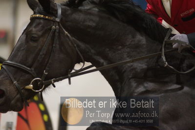 Fredericia Rideklub
Sprngstævne for hest
Nøgleord: søren finnemann;bellissima