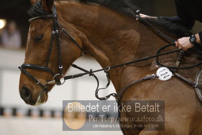 Fredericia Rideklub
Sprngstævne for hest
Nøgleord: helle møller;countess w