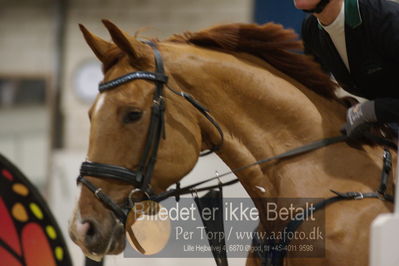 Fredericia Rideklub
Sprngstævne for hest
Nøgleord: charlotte schreiber;why not