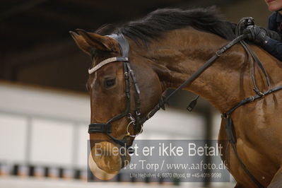 Fredericia Rideklub
Sprngstævne for hest
Nøgleord: anne-charlotte boegh-soerensen;zilver blue