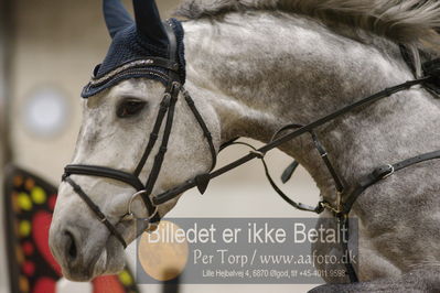 Fredericia Rideklub
Sprngstævne for hest
Nøgleord: sabine korfitz christensen;medina em