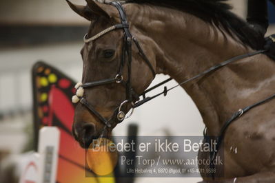 Fredericia Rideklub
Sprngstævne for hest
Nøgleord: julie syskind;liwestream ll