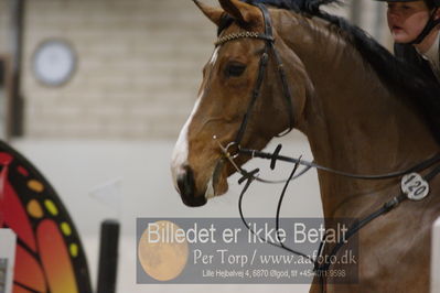 Fredericia Rideklub
Sprngstævne for hest
Nøgleord: rikke skovro stadelhofer;bøgegårdens lady gaga