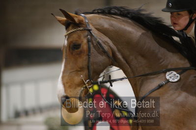 Fredericia Rideklub
Sprngstævne for hest
Nøgleord: rikke skovro stadelhofer;bøgegårdens lady gaga