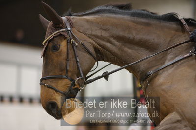 Fredericia Rideklub
Sprngstævne for hest
Nøgleord: ane straumsheim;crazy daisy z