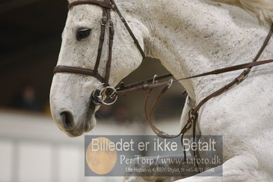 Fredericia Rideklub
Sprngstævne for hest
Nøgleord: cecilie nør-jensen;kaizers