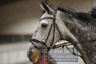 Fredericia Rideklub
Sprngstævne for hest
Nøgleord: cecilie aarslev paps;erica