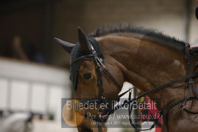 Fredericia Rideklub
Sprngstævne for hest
Nøgleord: stefanie ultang-berg;cava