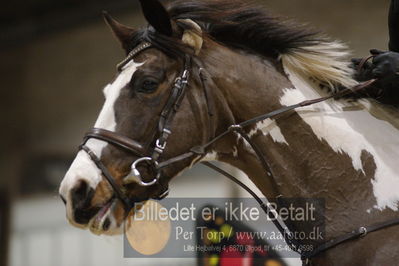 Fredericia Rideklub
Sprngstævne for hest
Nøgleord: thomas steensen;z hoelgaard's zeeland