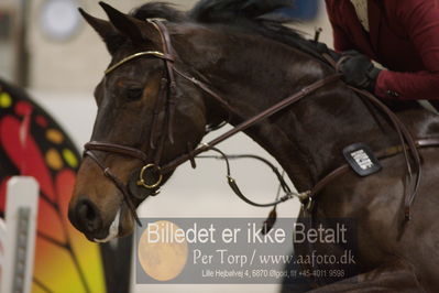 Fredericia Rideklub
Sprngstævne for hest
Nøgleord: trine lindberg;kong's chardonnay