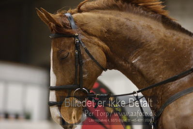 Fredericia Rideklub
Sprngstævne for hest
Nøgleord: isabell jepsen;rankegårds beloki