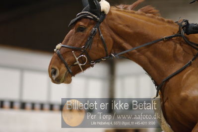 Fredericia Rideklub
Sprngstævne for hest
Nøgleord: georgia timmermann;calia