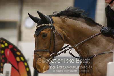 Fredericia Rideklub
Sprngstævne for hest
Nøgleord: ane straumsheim;carlotta 251