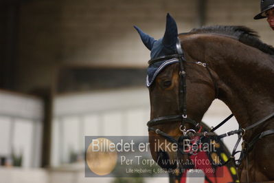 Fredericia Rideklub
Sprngstævne for hest
Nøgleord: ida sofie holden thorsøe;gusto vd kranenburg