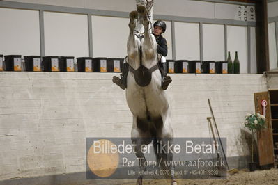 Fredericia Rideklub
Sprngstævne for hest
Nøgleord: lærke eifler;lasiano-høm