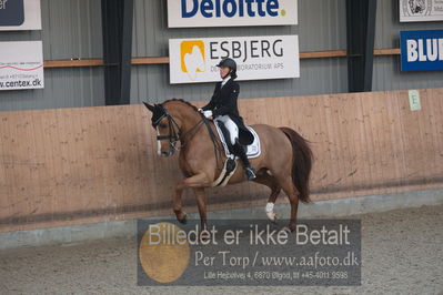 B-stævne dressur
Grandprix
Nøgleord: patricia hvidt;lepas armani