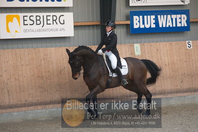 B-stævne dressur
Grandprix
Nøgleord: maja petersen;højgårds dexter