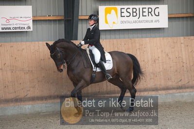 B-stævne dressur
Grandprix
Nøgleord: maja petersen;højgårds dexter