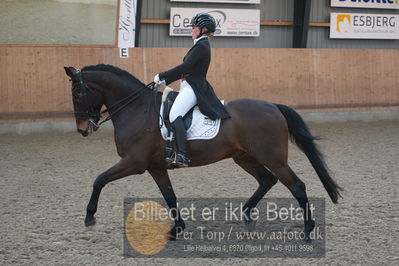 B-stævne dressur
Grandprix
Nøgleord: maja petersen;højgårds dexter