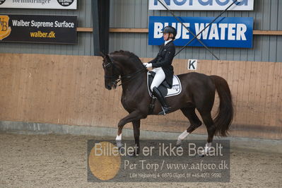 B-stævne dressur
Grandprix
Nøgleord: lotte skjaerbaek;skovens rafael