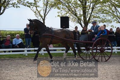 benthus 2019
Billeder fra åbenthus
Nøgleord: ea kirk;gig;henrik jensen;martin kirk;ibrahim