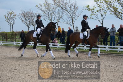 benthus 2019
Billeder fra åbenthus
Nøgleord: marie krabbe;ib kirk;svalegårds hot diva;katrinelund ferrai