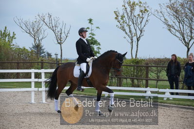 benthus 2019
Billeder fra åbenthus
Nøgleord: marie krabbe;ib kirk;svalegårds hot diva;katrinelund ferrai