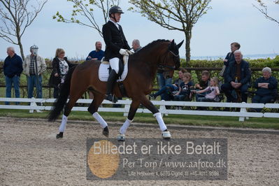 benthus 2019
Billeder fra åbenthus
Nøgleord: marie krabbe;ib kirk;svalegårds hot diva;katrinelund ferrai