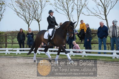 benthus 2019
Billeder fra åbenthus
Nøgleord: marie krabbe;ib kirk;svalegårds hot diva;katrinelund ferrai