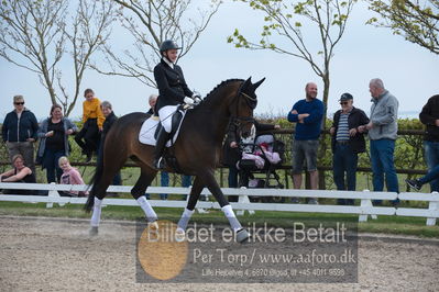 benthus 2019
Billeder fra åbenthus
Nøgleord: marie krabbe;ib kirk;svalegårds hot diva;katrinelund ferrai