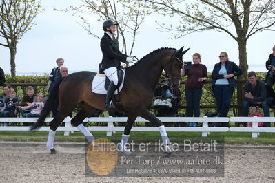 benthus 2019
Billeder fra åbenthus
Nøgleord: marie krabbe;ib kirk;svalegårds hot diva;katrinelund ferrai