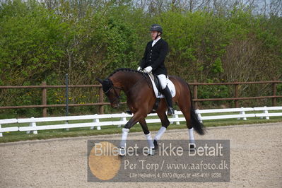 benthus 2019
Billeder fra åbenthus
Nøgleord: marie krabbe;ib kirk;svalegårds hot diva;katrinelund ferrai