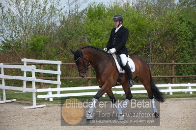 benthus 2019
Billeder fra åbenthus
Nøgleord: marie krabbe;ib kirk;svalegårds hot diva;katrinelund ferrai