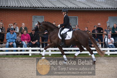 benthus 2019
Billeder fra åbenthus
Nøgleord: duke sofie l christinsen